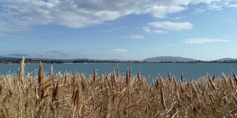 Les Cottages du Lac de Jouarres 1