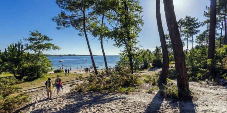 0050 plages et forêts