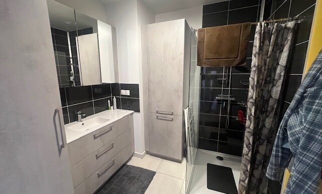 003 Salle d'eau cabine de douche et rangements