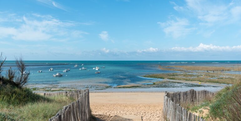 accès plage par les dunes SK